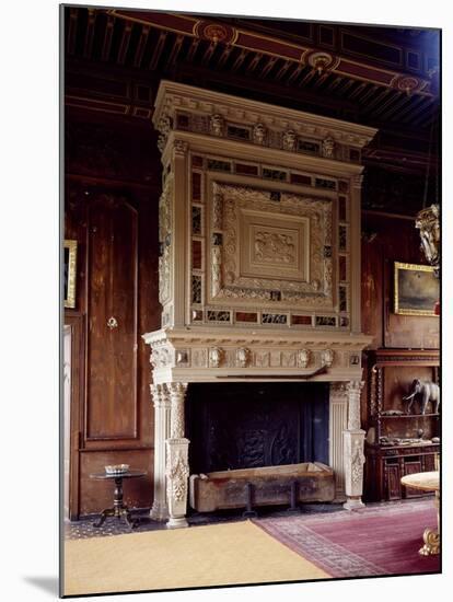 France, Loire Valley, Chateau De Sully, Fireplace in Salon, Henry III's Period-null-Mounted Giclee Print