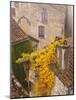 France, Midi-Pyrenees Region, Lot Department, St-Cirq-Lapopie-Walter Bibikow-Mounted Photographic Print