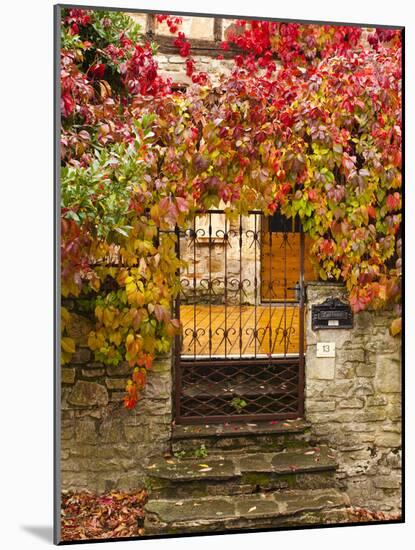 France, Midi-Pyrenees Region, Tarn Department, Cordes-Sur-Ciel, Gate with Autumn Foliage-Walter Bibikow-Mounted Photographic Print