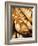 France, Moselle, Lorraine Region, Metz, Covered Market, Artisan Bread-Walter Bibikow-Framed Photographic Print