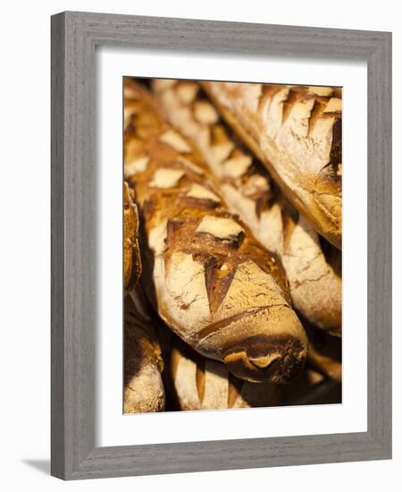 France, Moselle, Lorraine Region, Metz, Covered Market, Artisan Bread-Walter Bibikow-Framed Photographic Print