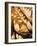 France, Moselle, Lorraine Region, Metz, Covered Market, Artisan Bread-Walter Bibikow-Framed Photographic Print