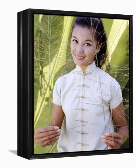 France Nuyen-null-Framed Stretched Canvas