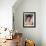 France Nuyen-null-Framed Photo displayed on a wall