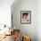 France Nuyen-null-Framed Photo displayed on a wall