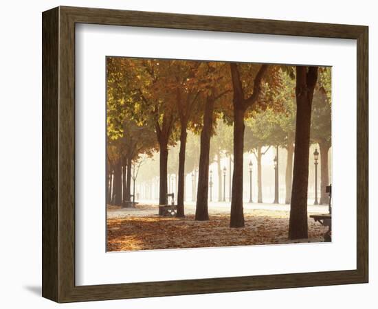 France, Paris, Champs Elysees-null-Framed Photographic Print