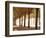 France, Paris, Champs Elysees-null-Framed Photographic Print