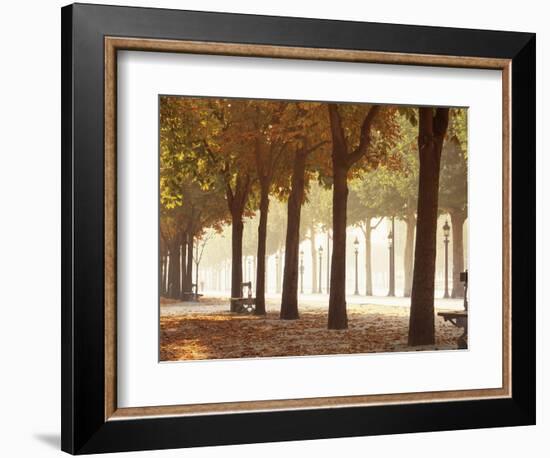 France, Paris, Champs Elysees-null-Framed Photographic Print