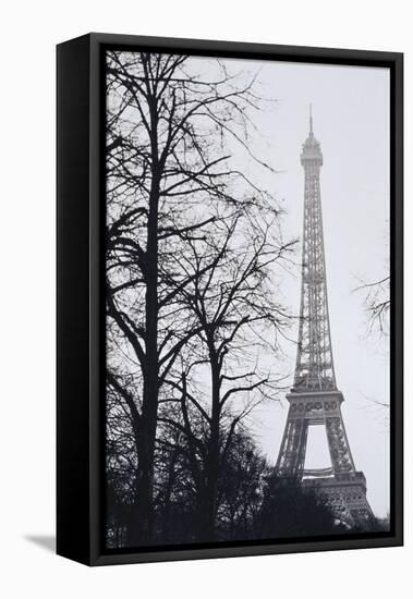 France, Paris. Eiffel Tower at Winter-Walter Bibikow-Framed Premier Image Canvas