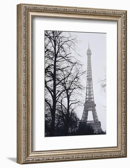 France, Paris. Eiffel Tower at Winter-Walter Bibikow-Framed Photographic Print