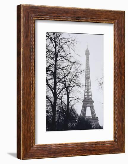 France, Paris. Eiffel Tower at Winter-Walter Bibikow-Framed Photographic Print
