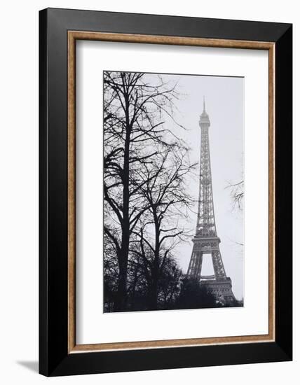 France, Paris. Eiffel Tower at Winter-Walter Bibikow-Framed Photographic Print