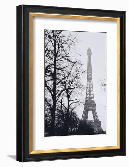 France, Paris. Eiffel Tower at Winter-Walter Bibikow-Framed Photographic Print