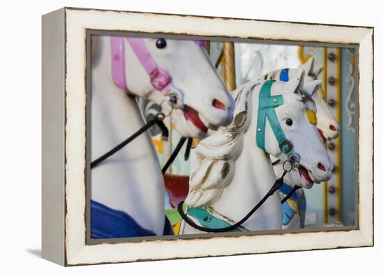 France, Paris, Jardin of the Tuileries, Roundabout, Horses, Detail-Rainer Mirau-Framed Premier Image Canvas