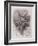 France, Paris, the Damnation of Faust-Henri Fantin-Latour-Framed Giclee Print