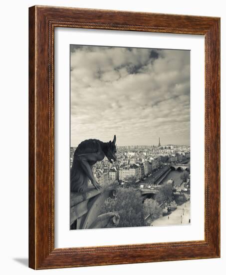 France, Paris, View from the Cathedrale Notre Dame Cathedral with Gargoyles-Walter Bibikow-Framed Photographic Print