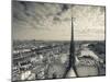 France, Paris, View of the Seine River and City from the Notre Dame Cathedral-Walter Bibikow-Mounted Photographic Print