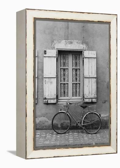 France, Poitou Charentes Bike Marans-Walter Bibikow-Framed Premier Image Canvas