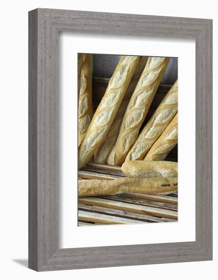 France, Provence Alpes Cote Dazur, Vaucluse, Lourmarin. Baguettes-Kevin Oke-Framed Photographic Print