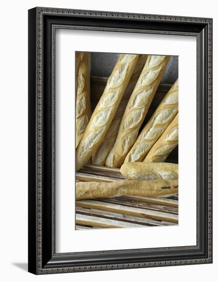 France, Provence Alpes Cote Dazur, Vaucluse, Lourmarin. Baguettes-Kevin Oke-Framed Photographic Print