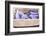 France, Provence Alps Cote D'Azur, Haute Provence-Matteo Colombo-Framed Photographic Print