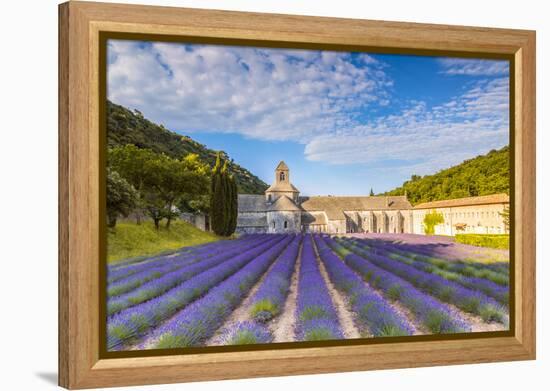 France, Provence Alps Cote D'Azur, Vaucluse. Famous Senanque Abbey in the Morning-Matteo Colombo-Framed Premier Image Canvas