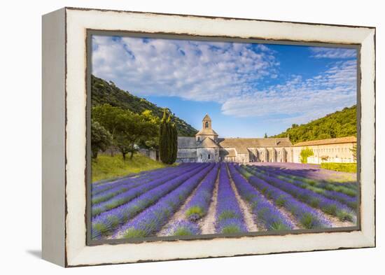 France, Provence Alps Cote D'Azur, Vaucluse. Famous Senanque Abbey in the Morning-Matteo Colombo-Framed Premier Image Canvas