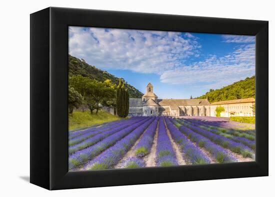 France, Provence Alps Cote D'Azur, Vaucluse. Famous Senanque Abbey in the Morning-Matteo Colombo-Framed Premier Image Canvas