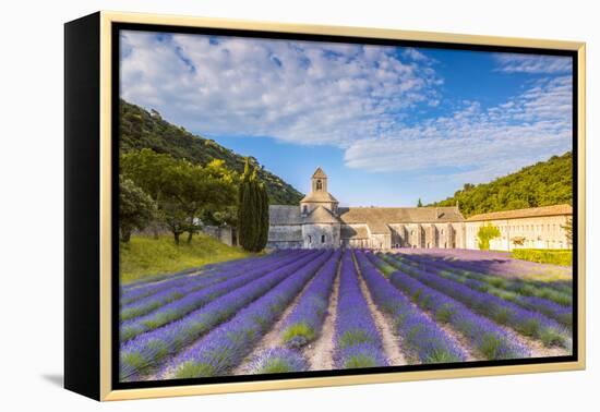 France, Provence Alps Cote D'Azur, Vaucluse. Famous Senanque Abbey in the Morning-Matteo Colombo-Framed Premier Image Canvas