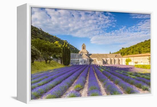 France, Provence Alps Cote D'Azur, Vaucluse. Famous Senanque Abbey in the Morning-Matteo Colombo-Framed Premier Image Canvas