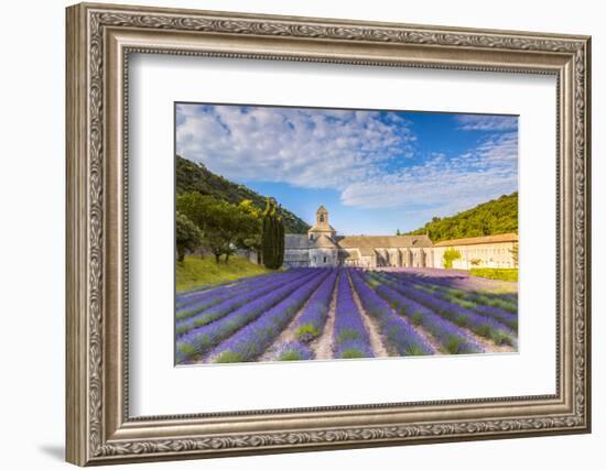 France, Provence Alps Cote D'Azur, Vaucluse. Famous Senanque Abbey in the Morning-Matteo Colombo-Framed Photographic Print