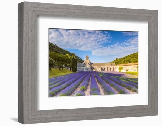 France, Provence Alps Cote D'Azur, Vaucluse. Famous Senanque Abbey in the Morning-Matteo Colombo-Framed Photographic Print