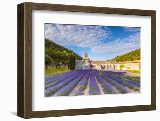 France, Provence Alps Cote D'Azur, Vaucluse. Famous Senanque Abbey in the Morning-Matteo Colombo-Framed Photographic Print