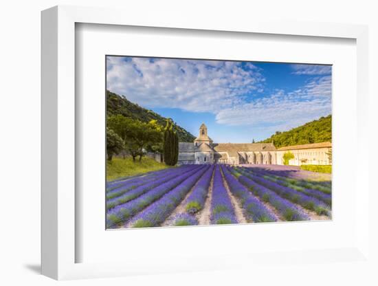 France, Provence Alps Cote D'Azur, Vaucluse. Famous Senanque Abbey in the Morning-Matteo Colombo-Framed Photographic Print