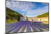 France, Provence Alps Cote D'Azur, Vaucluse. Famous Senanque Abbey in the Morning-Matteo Colombo-Mounted Photographic Print