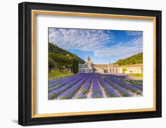 France, Provence Alps Cote D'Azur, Vaucluse. Famous Senanque Abbey in the Morning-Matteo Colombo-Framed Photographic Print