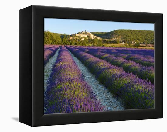 France, Provence, Banon, Lavender to Foreground-Shaun Egan-Framed Premier Image Canvas