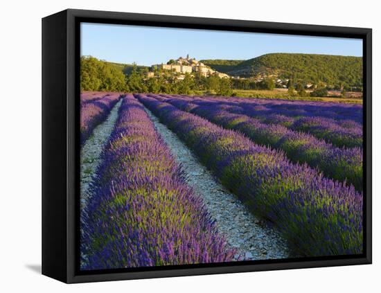 France, Provence, Banon, Lavender to Foreground-Shaun Egan-Framed Premier Image Canvas