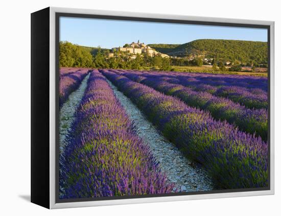 France, Provence, Banon, Lavender to Foreground-Shaun Egan-Framed Premier Image Canvas