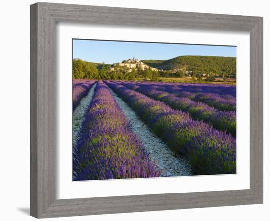 France, Provence, Banon, Lavender to Foreground-Shaun Egan-Framed Photographic Print