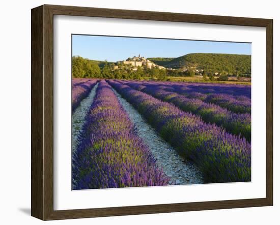 France, Provence, Banon, Lavender to Foreground-Shaun Egan-Framed Photographic Print