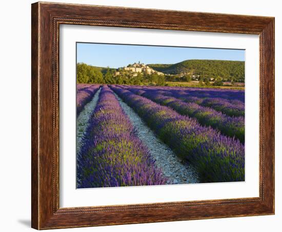 France, Provence, Banon, Lavender to Foreground-Shaun Egan-Framed Photographic Print