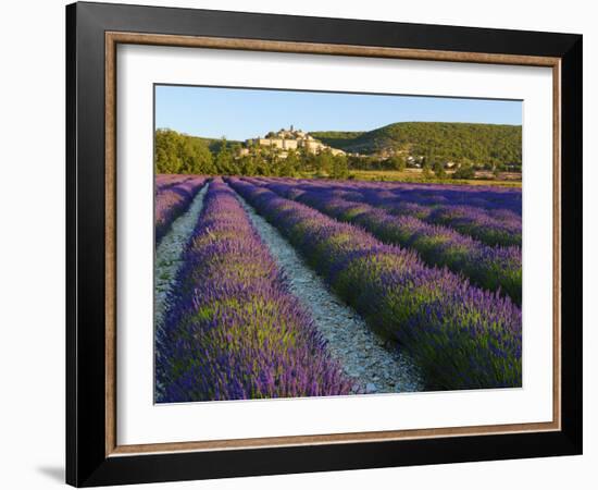 France, Provence, Banon, Lavender to Foreground-Shaun Egan-Framed Photographic Print