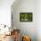 France, Provence, Bouches-Du-Rh?ne, Camargue, Salin-De-Giraud, Plane Tree Avenue-Udo Siebig-Framed Premier Image Canvas displayed on a wall