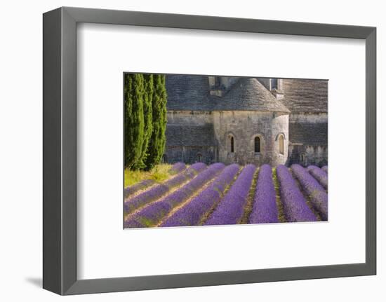 France, Provence. Lavender field and Senanque Abbey.-Jaynes Gallery-Framed Photographic Print