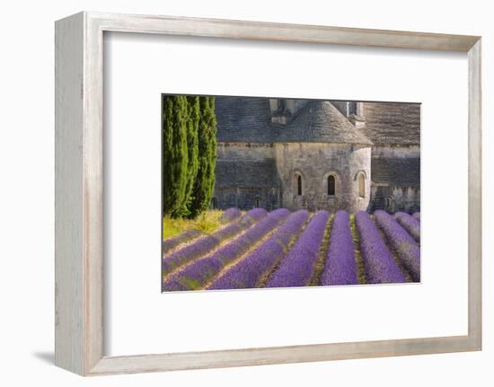 France, Provence. Lavender field and Senanque Abbey.-Jaynes Gallery-Framed Photographic Print