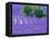 France, Provence, Lavender Field on the Valensole Plateau-Terry Eggers-Framed Premier Image Canvas