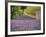 France, Provence. Lavender Fields Near a Home-Julie Eggers-Framed Photographic Print