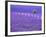 France, Provence, Lone Tree in Lavender Field-Terry Eggers-Framed Photographic Print