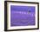 France, Provence, Lone Tree in Lavender Field-Terry Eggers-Framed Photographic Print